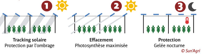 Les trackers, ces panneaux solaires comme des tournesols - Entraid