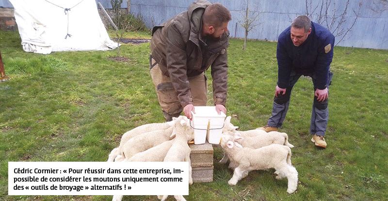 Cédric Cormier : « Pour réussir dans cette entreprise, impossible de considérer les moutons uniquement comme des « outils de broyage » alternatifs ! »