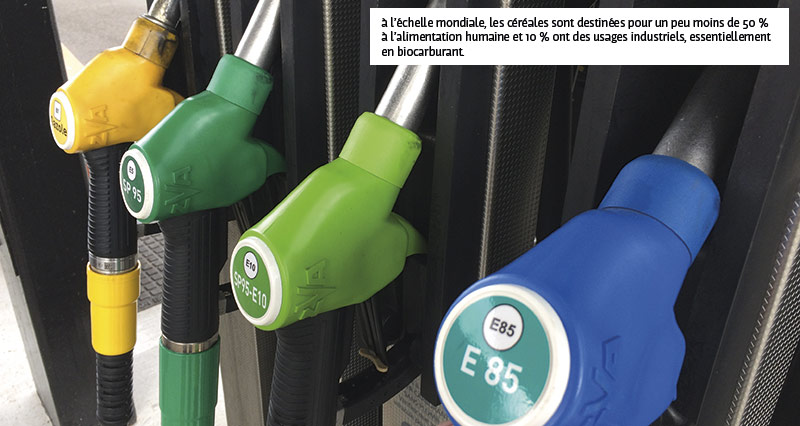 Pourquoi opposer productions alimentaires et non alimentaires?