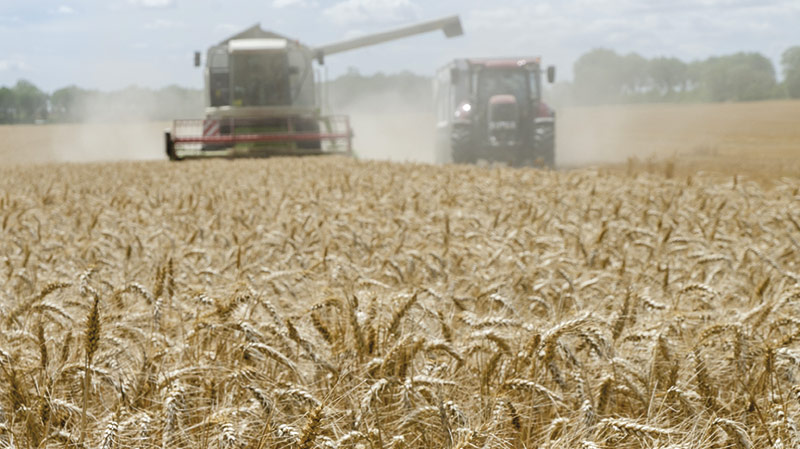 Bilan de la campagne 2021-2022 des céréales d'hiver