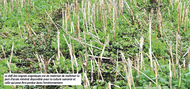 Le défi des engrais organiques est de maitriser de maîtriser la part d'azote minéral disponible pour la culture suivante et celle qui peut être perdue dans l'environnement.