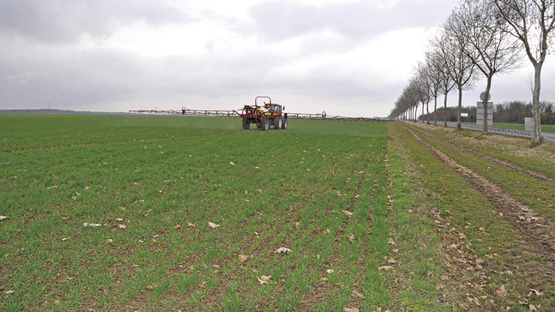 La gestion durable des adventices pour désherber l'orge de printemps