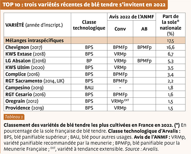 TOP 10 : trois variétés récentes de blé tendre s’invitent en 2022