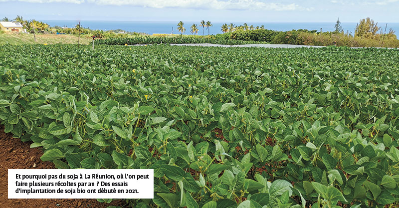 Et pourquoi pas du soja à La Réunion, où l’on peut faire plusieurs récoltes par an ? Des essais d’implantation de soja bio ont débuté en 2021.