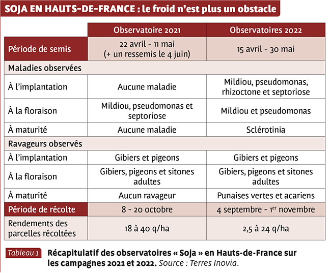 SOJA EN HAUTS-DE-FRANCE : le froid n’est plus un obstacle