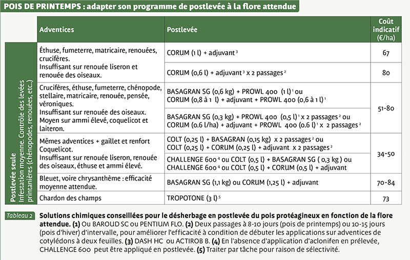 POIS DE PRINTEMPS : adapter son programme de postlevée à la flore attendue