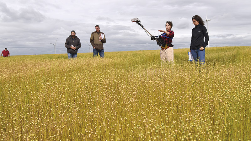 4 ans pour faciliter la transition numérique de l'agriculture