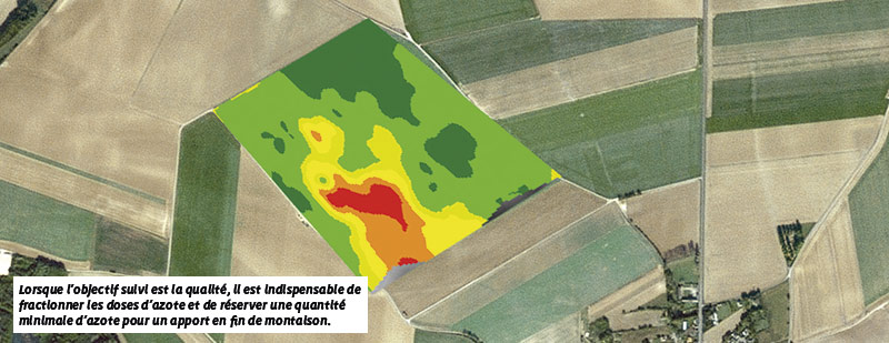 Lorsque l’objectif suivi est la qualité, il est indispensable de fractionner les doses d’azote et de réserver une quantité minimale d’azote pour un apport en fin de montaison.