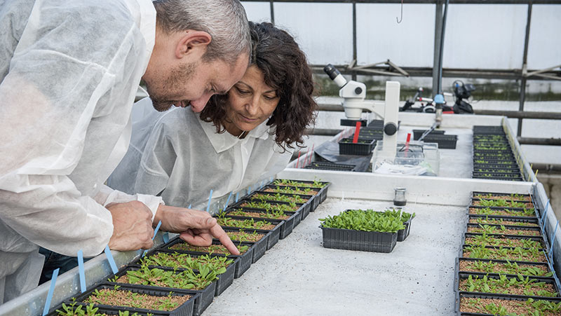R&D d’Arvalis : seize nouveaux projets débutent en 2023 !