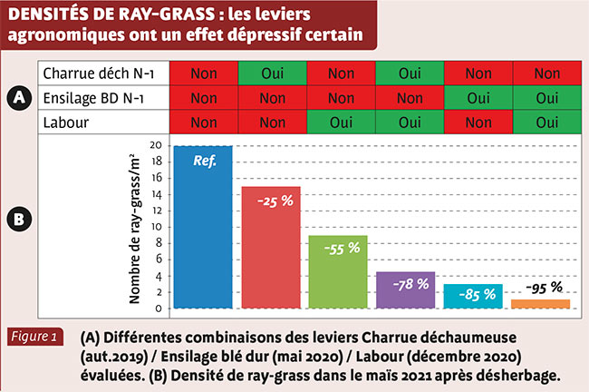 DENSITÉS DE RAY-GRASS : les leviers agronomiques ont un effet dépressif certain