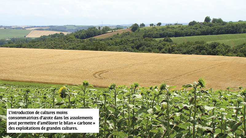 L’introduction de cultures moins consommatrices d’azote dans les assolements peut permettre d’améliorer le bilan « carbone » des exploitations de grandes cultures.