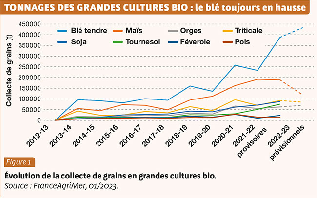 TONNAGES DES GRANDES CULTURES BIO : le blé toujours en hausse