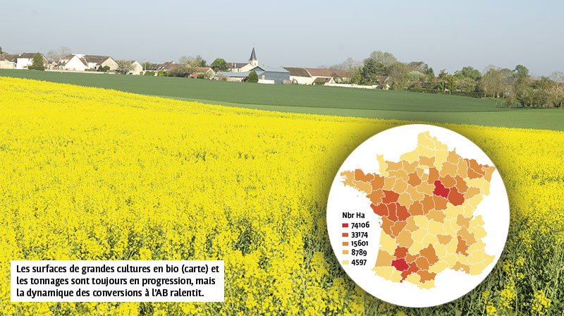 Le point sur l'état du marché des grandes cultures bio