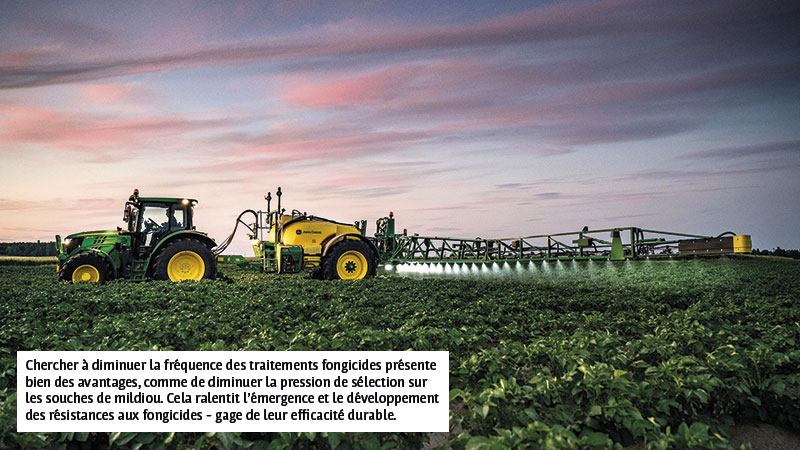 Protection intégrée contre le mildiou de la pomme de terre