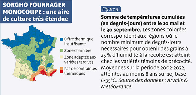 SORGHO FOURRAGER MONOCOUPE : une aire de culture très étendue