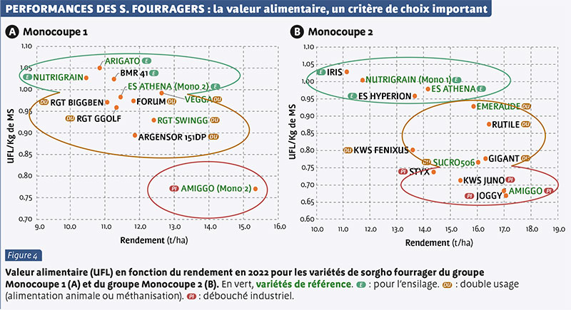 PERFORMANCES DES S. FOURRAGERS : la valeur alimentaire, un critère de choix important