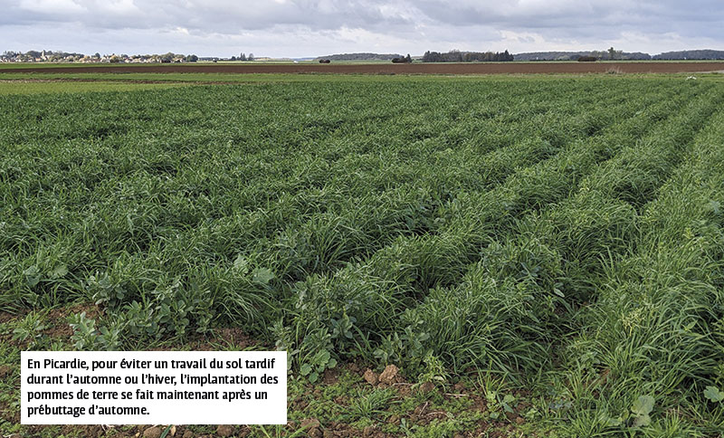 En Picardie, pour éviter un travail du sol tardif durant l’automne ou l’hiver, l’implantation des pommes de terre se fait maintenant après un prébuttage d’automne.