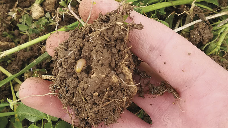 Service Agro-Eco Sol: un transfert réussi du labo vers l'agriculteur