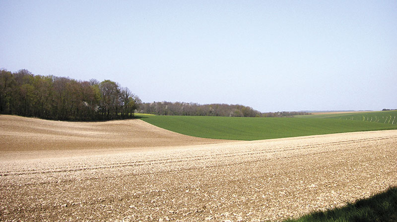 Diminuer les émissions de carbone en Champagne crayeuse