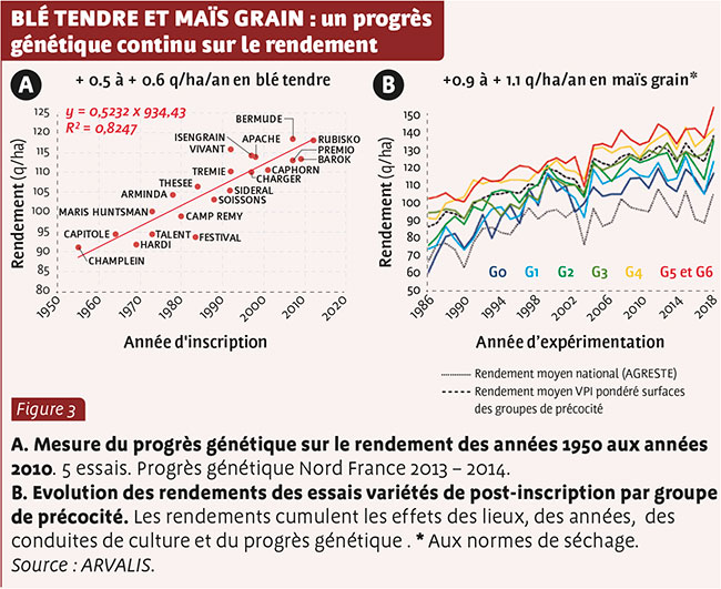 BLé TENDRE ET MAÏS GRAIN : un progrès génétique continu sur le rendement