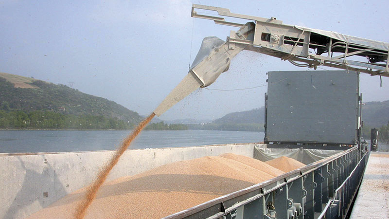 Export : rétropédalage sur la phosphine