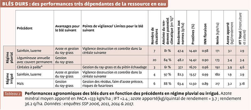 BLÉS DURS : des performances très dépendantes de la ressource en eau