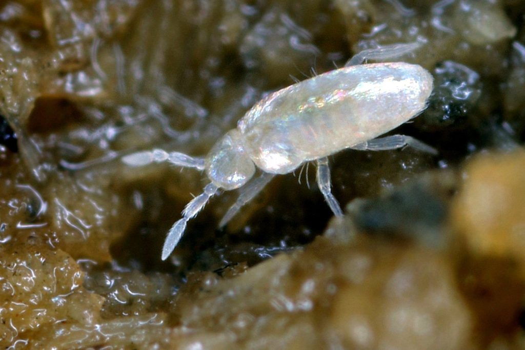 Agro-Eco Sol, un nouvel outil pour améliorer la fertilité de son sol