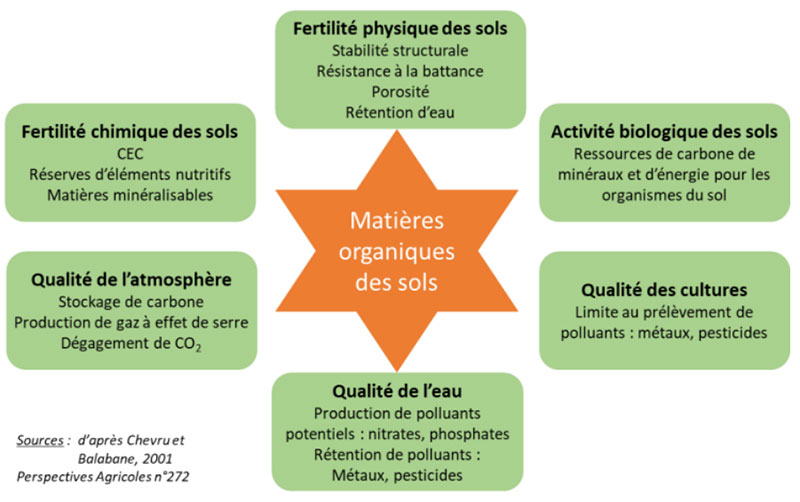 Rôles et actions des matières organiques du sol