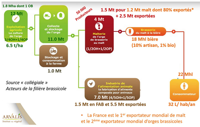 Les chiffres clés de la filière orges en France en moyenne au cours des dernières années