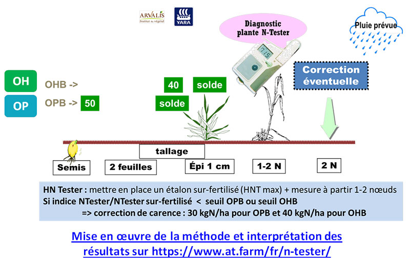 Utilisation du N-Tester sur les orges pour profiter des contextes favorables