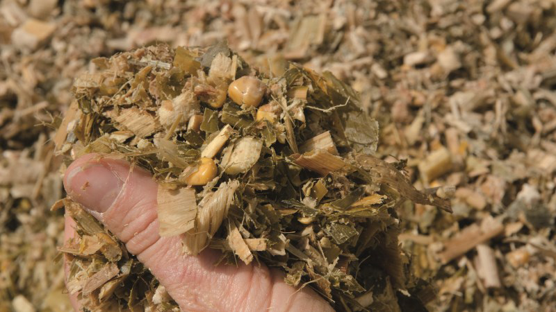 Optimisez le hachage du maïs fourrage et le broyage des grains