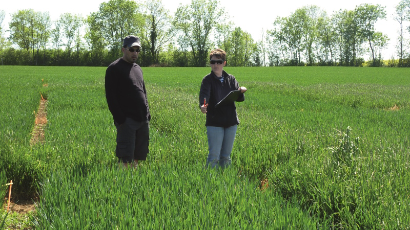 Bilan agro-économique de la protection intégrée pour les ravageurs