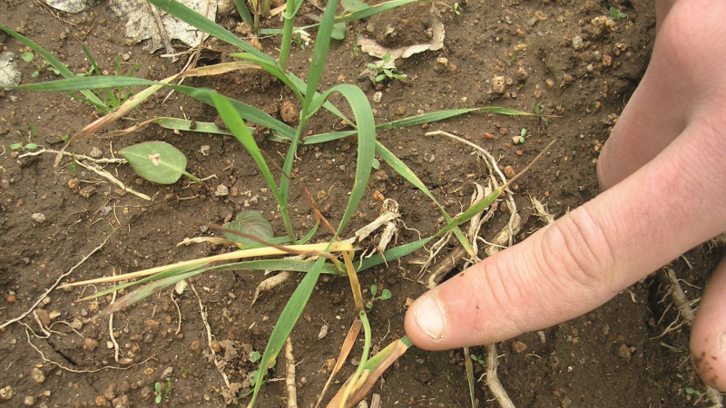 Réussir le changement des pratiques agricoles