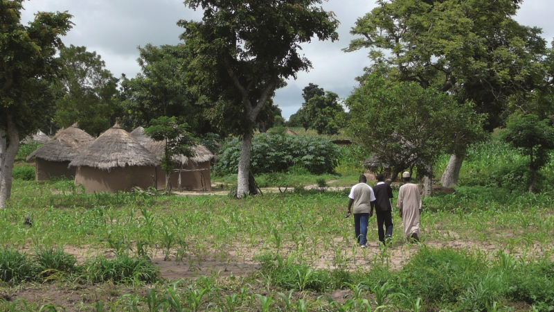 Les multiples services agricoles de l'arbre