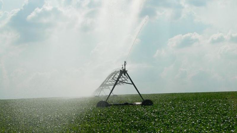 Maximiser le rendement avec l'irrigation du maïs