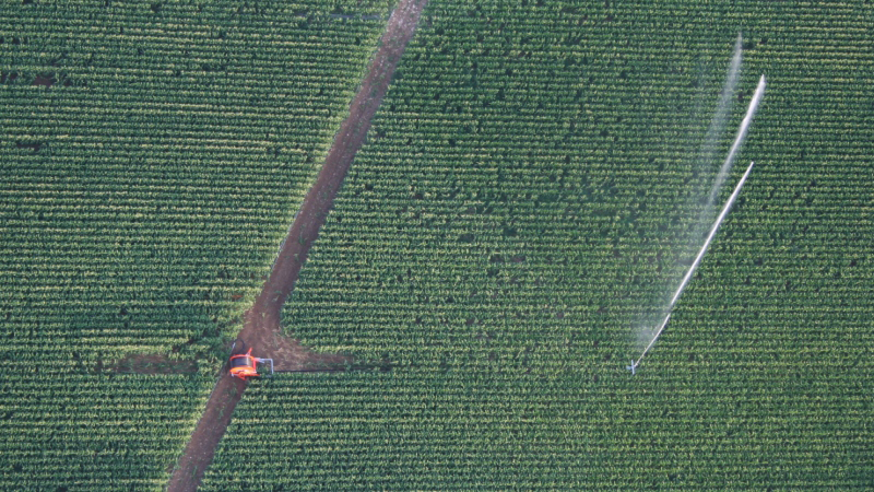 Les besoins en irrigation augmentent