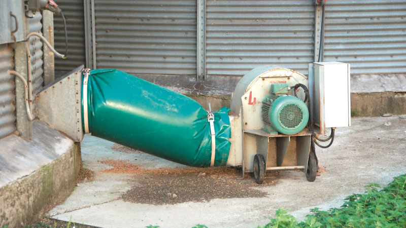 Désinsectisation préventive des grains avec un nettoyeur-séparateur