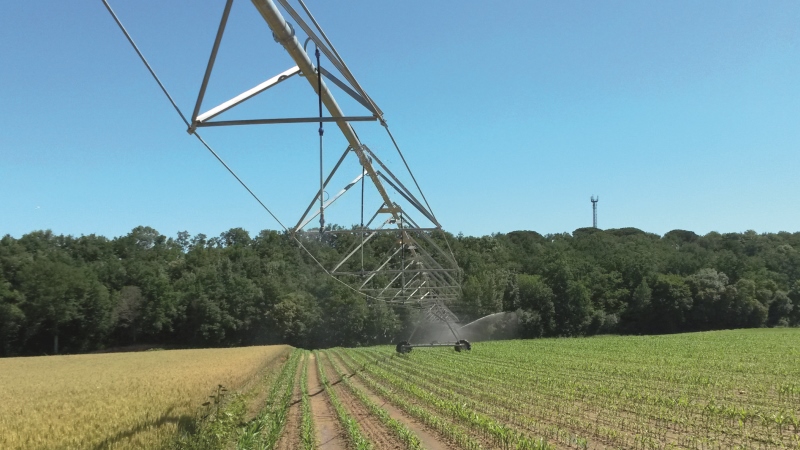 Le point sur l'irrigation à modulation intraparcellaire