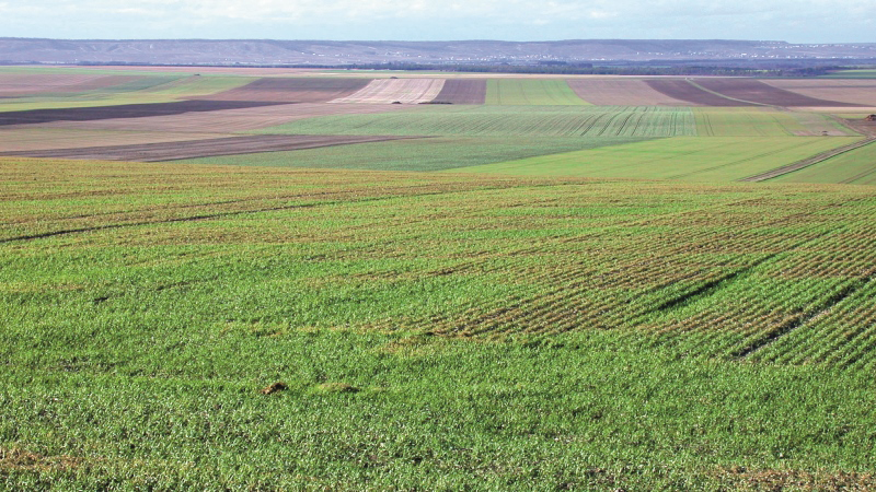 Rendements agricoles : de nouveaux éléments en faveur de la diversification