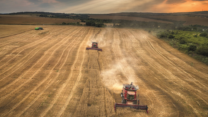 L’agriculture en Amérique Latine : une agriculture en pleine expansion