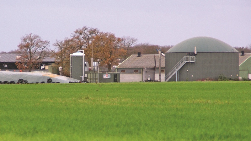 Abaisser le coût de production par un rendement élevé des CIVE