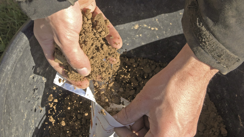 Fertilisation du blé tendre : Estimer la dose totale d’azote à apporter