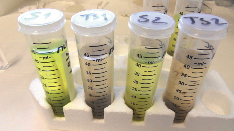 18 indicateurs de la vie du sol évalués par le projet Microbioterre