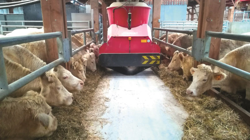 Engraissement et valorisation des vaches Charolaises de réforme