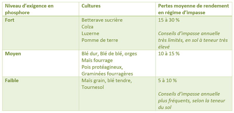 Exigence des cultures en phosphore et enjeux sur le rendement