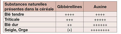 Equilibre relatif en auxine et en gibbérellines dans différentes céréales