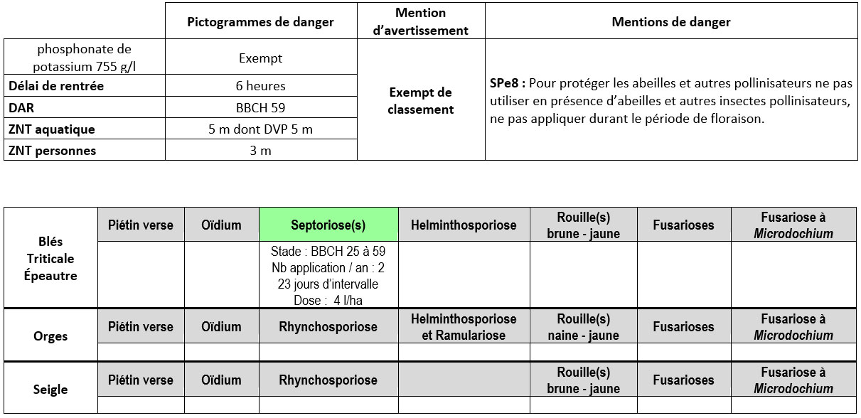 Fiche d’identité de la spécialité Pygmalion