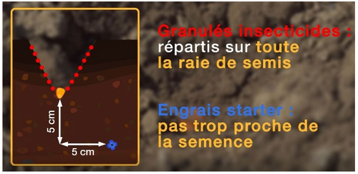 Positionnement idéal des micro-granulés insecticides et de l’engrais starter