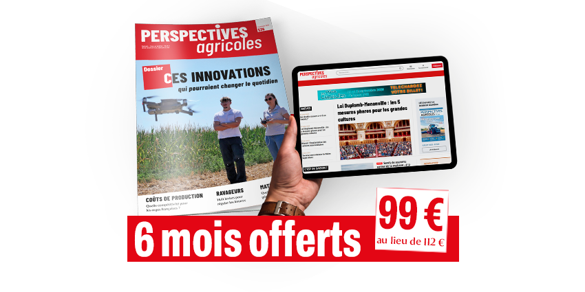 PREMIUM 12 + 6 mois offerts