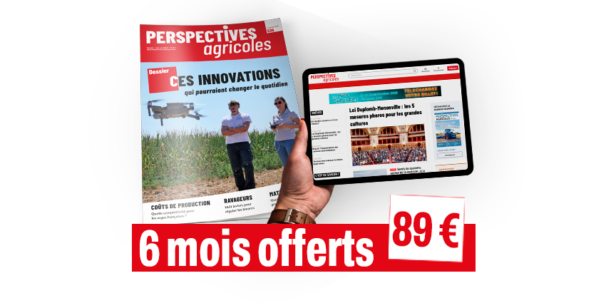 100% numérique 6M